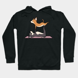 Acroyoga Chihuahua Hoodie